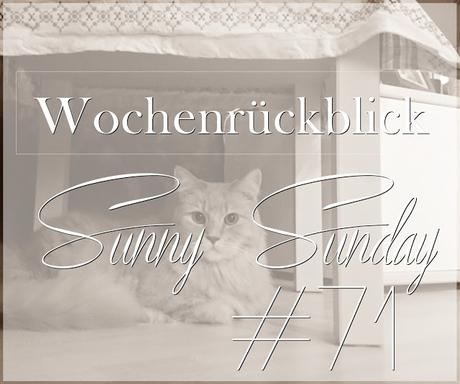 Wochenrückblick | Sunny Sunday #71 - weekreview, christmas, winter, december, josie´s little wonderland