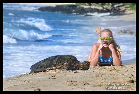 EISWUERFELIMSCHUH - Montagsglück Hawaii Schildkröte Strand