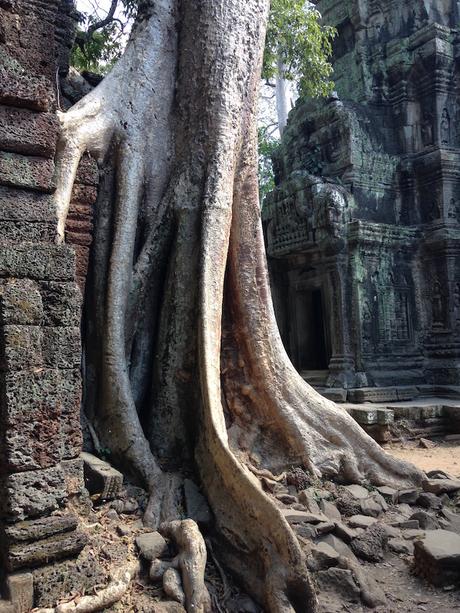 cambodia traveling 2015