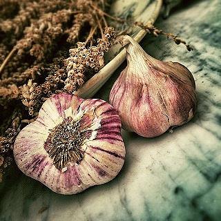 garlic-139659_640
