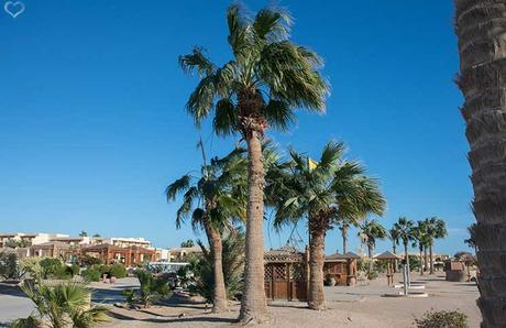 Soma Bay Ägypten und seine Luxus Hotels