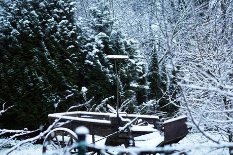 Blog + Fotografie by it's me! - Winter für einen Tag - verschneiter Kutschwagen