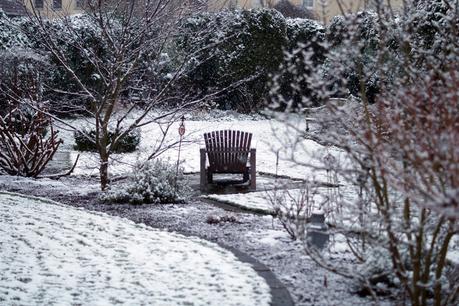 Blog + Fotografie by it's me! - Winter für einen Tag - verschneiter Garten