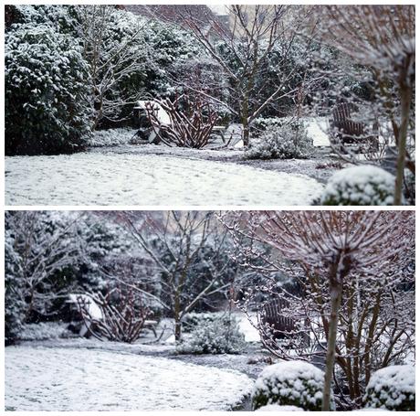 Blog + Fotografie by it's me! - Winter für einen Tag - Collage von Schneeflocken im Garten