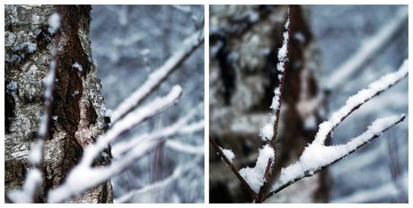 Blog + Fotografie by it's me! - Winter für einen Tag - Collage eines Baumstamms und verschneiten Zweigen
