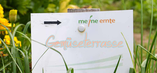 Meine Ernte - mein eigener Gemüsegarten