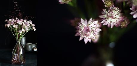 Blog + Fotografie by it's me! - Collage aus beerenfarbenen Blumen