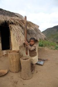 Heuschrecken Verarbeitung Madagaskar