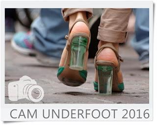 Cam Underfoot #1