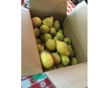 Fet a Sóller – Ein Stück Spanien für daheim