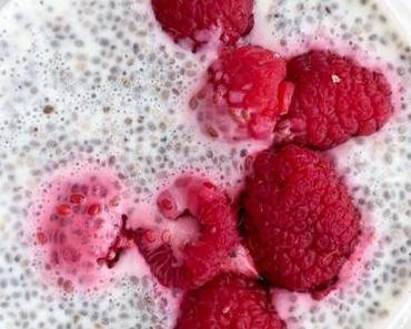 Chia Joghurt Dessert mit Himbeeren