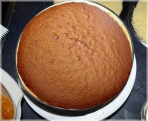 Grundrezept ~ Biskuit  für Motivtorten