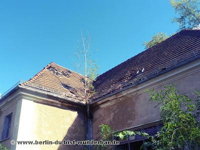 berlin, Köpenick, Karlshorst, Krankenhaus, verlassene, urbex, abandoned