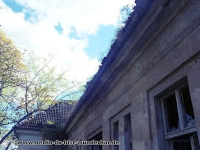 berlin, Köpenick, Karlshorst, Krankenhaus, verlassene, urbex, abandoned