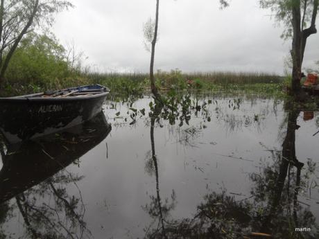 Sumpflandschaft am Rio Negro