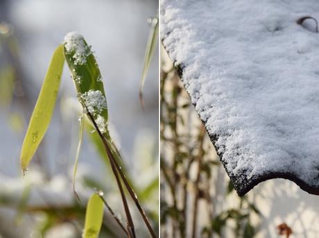 im Schnee- in the snow