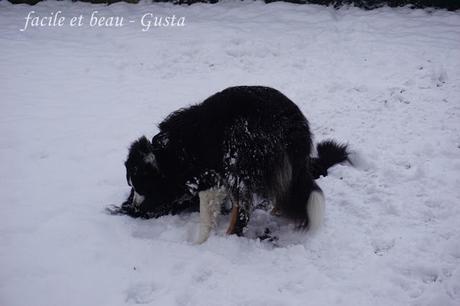 Fun in the snow