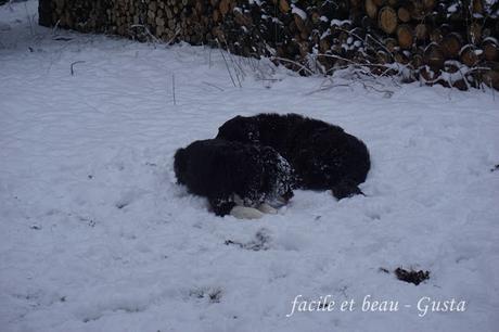 Fun in the snow