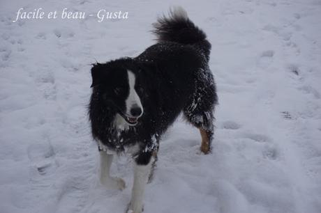 Fun in the snow