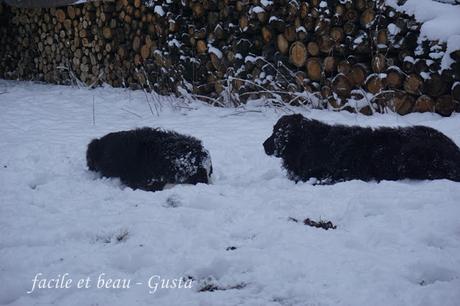 Fun in the snow