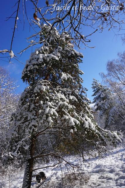 Fun in the snow