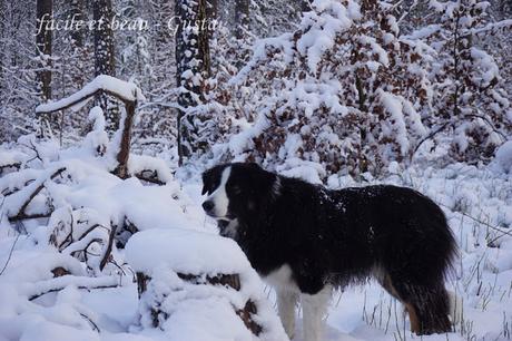 Fun in the snow