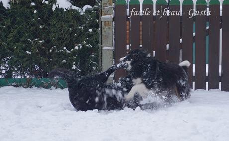 Fun in the snow