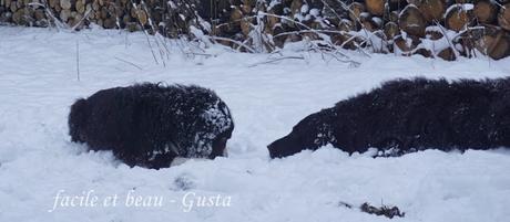 Fun in the snow