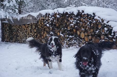 Fun in the snow