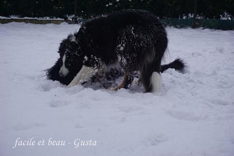 Fun in the snow