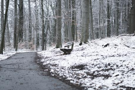 Blog + Fotografie by it's me! - Draussen - Frau Frieda sucht Schnee, verschneiter Waldweg, eine Bank und ein Fußweg
