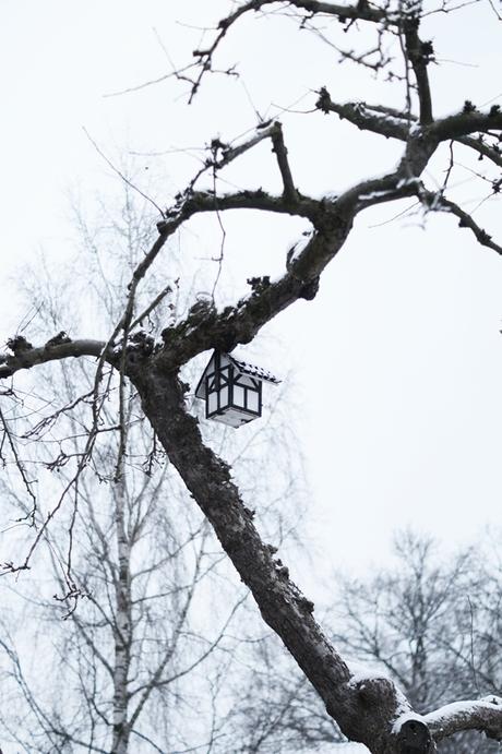 Blog + Fotografie by it's me! - Draussen - Frau Frieda sucht Schnee, Vogelhause im schneebedeckten Baum