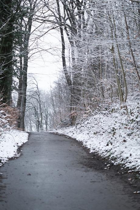 Blog + Fotografie by it's me! - Draussen - Frau Frieda sucht Schnee, Fußweg im verschneiten Wald