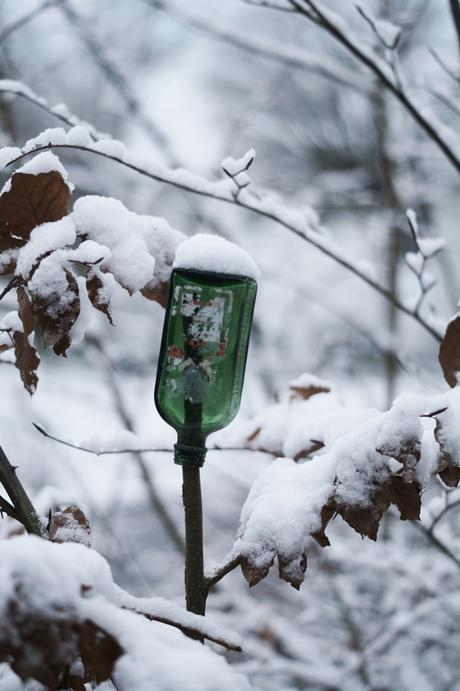 Blog + Fotografie by it's me! - Draussen - Frau Frieda sucht Schnee, verschneite Jägermeisterflasche auf einem Zweig