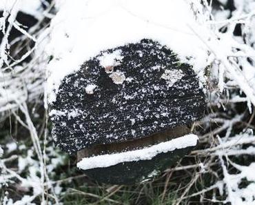Draussen | Der erste Schnee, der auch liegenbleibt!