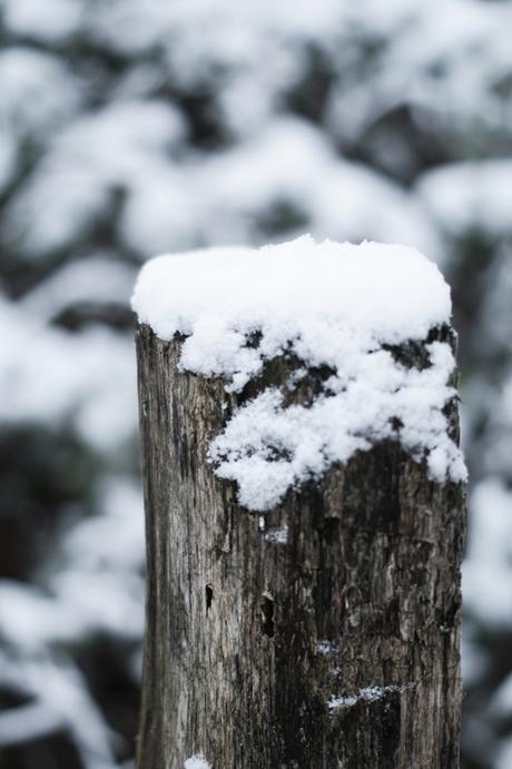 Blog + Fotografie by it's me! - Draussen - Frau Frieda sucht Schnee, Schnee auf einem Holzpflock