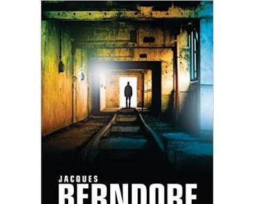 Rezi: Jacques Berndorf - Lockvogel