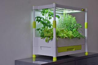 Gewaechshaus von Green-you