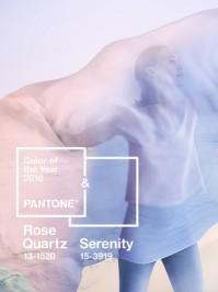 Serenity & Rose Quartz sind die Trendfarben 2016