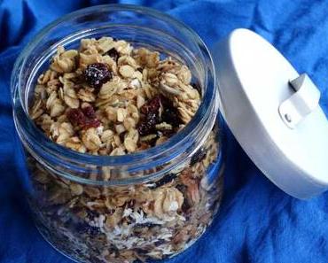 Knuspermüsli mit Samen, Cranberries und Kokos