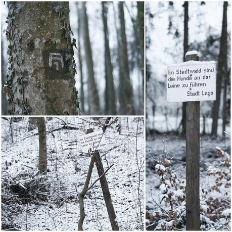 Blog + Fotografie by it's me! - Draussen - Magische Mottos im Januar, Im Stadtwald sind Hunde an der Leine zu führen & Zeichen am Baumstamm