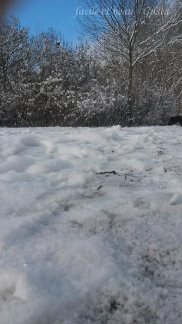 Cam Underfoot #3 : Schnee