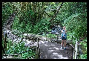EISWUERFELIMSCHUH - Hawaii Big Island AKAKA Waterfalls State Park (93)