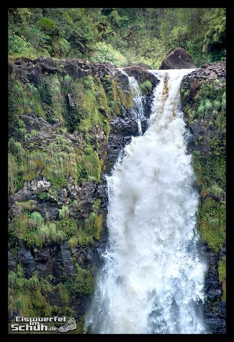 EISWUERFELIMSCHUH - Hawaii Big Island AKAKA Waterfalls State Park (61)
