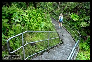 EISWUERFELIMSCHUH - Hawaii Big Island AKAKA Waterfalls State Park (31)