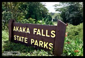 EISWUERFELIMSCHUH - Hawaii Big Island AKAKA Waterfalls State Park (14)