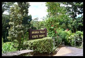 EISWUERFELIMSCHUH - Hawaii Big Island AKAKA Waterfalls State Park (16)