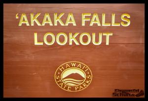 EISWUERFELIMSCHUH - Hawaii Big Island AKAKA Waterfalls State Park (13)