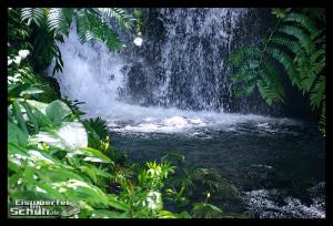 EISWUERFELIMSCHUH - Hawaii Big Island AKAKA Waterfalls State Park (41)