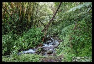 EISWUERFELIMSCHUH - Hawaii Big Island AKAKA Waterfalls State Park (90)
